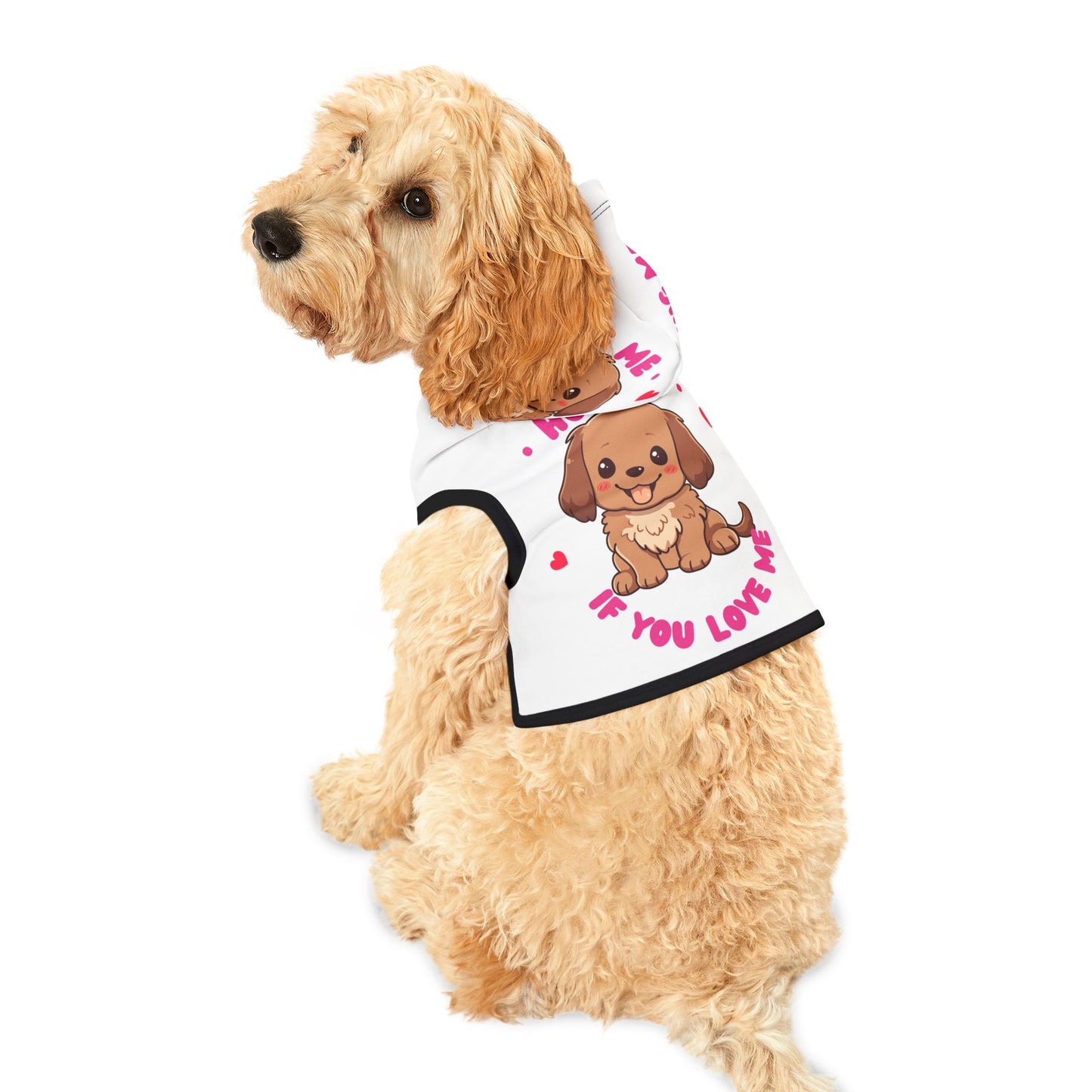 Pet Hoodie