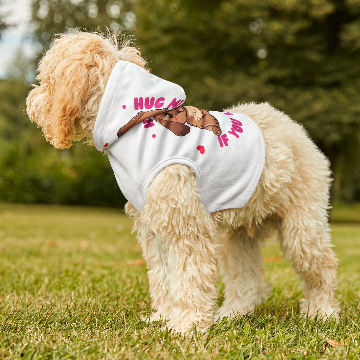 Pet Hoodie